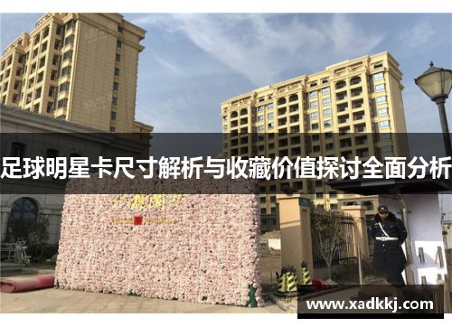 足球明星卡尺寸解析与收藏价值探讨全面分析